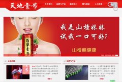 ���Ҽ��tdyh.com.cn