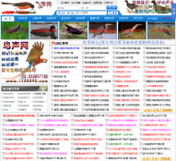 �������1380898.com