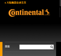 ��½�����й���վcontinental-corporation.cn