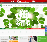 �����ɷ�lecron.cn