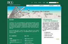 ��ʿ����ѯ��˾bcg.com.cn