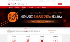 ���汦sanyibao.com