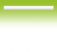  ɽ��ʡ�����ش���ֳ��yangzhi777.com