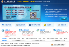 ����ʡ����˰���ln-n-tax.gov.cn