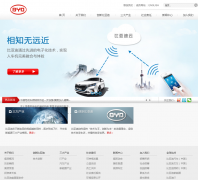 ���ǵϹɷ����޹�˾byd.cn