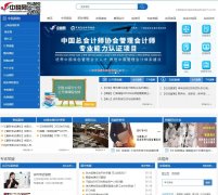 ��˰��taxchina.com