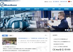 ��˴���microsensor.cn