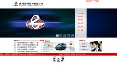 ���������������޹�˾dflzm.com.cn