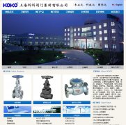 �Ϻ��ƿƷ���www.valvekoko.com