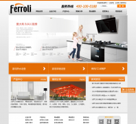 �������й�ferroli.com.cn
