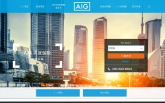 ���Ǳ���aig.com.cn
