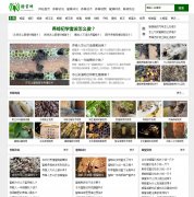 ���۷�www.kumifeng.com