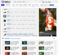 ������֮��www.fishfd.com