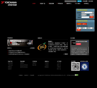 �ſƺ�����̥����yokohamatire.cn