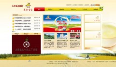 ���Ͷ�������yonho.com