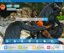 �й��������Ż���վgzwuchuan.gov.cn