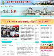 �й���Ȫlongquan.gov.cn