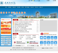 ����ְҵѧԺwwoc.cn