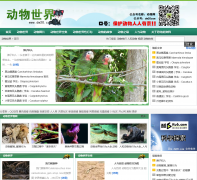 ��������dw20.com