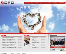 �����������Źɷ����޹�˾dfmg.com.cn