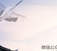 �Ϻ����ɽ�����sjez.com