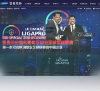 �����ɷ�ledman.cn