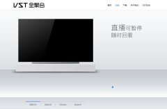 VSTȫ�ۺϹٷ���վ91vst.com