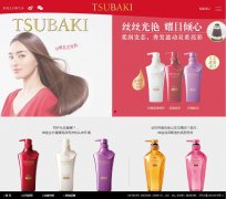 ˿���www.tsubakichina.com