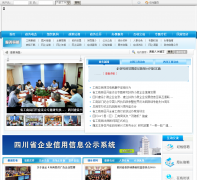 �Ĵ�ʡ��������������scaic.gov.cn