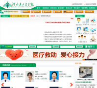 �ӱ�ʡ����ҽԺhbpphosp.cn