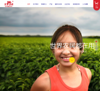 ʷ�������ʹɷ����޹�˾stanleygroup.cn