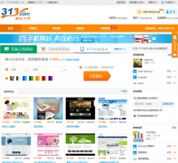 ��վ��ʦ313.com