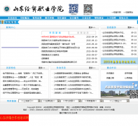 ɽ����óְҵѧԺsdecu.com