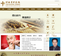 ����ʡ��ҽԺhnszyy.com.cn