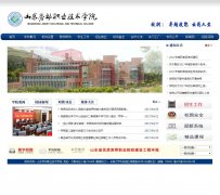 ɽ���Ͷ�ְҵ����ѧԺsdlvtc.cn