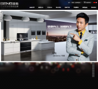 ɭ�輯����senge-dq.com